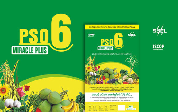 PSO 6 - Miracle Plus